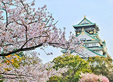 美国女子公开赛资格赛超1900人报名殷若宁豁免参赛
